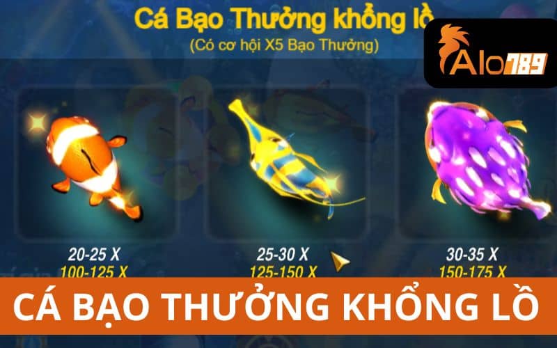 Cá bạo thưởng khổng lồ