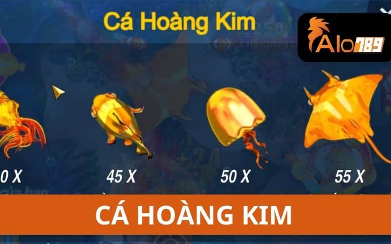 Cá Hoàng Kim có tỷ lệ trả thưởng hấp dẫn