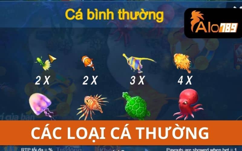 Các loại cá thường trong trò chơi đánh cá vui vẻ