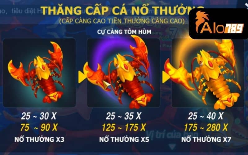 Bảng trả thưởng trong dàn sao đánh cá